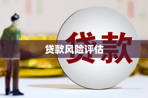 永新贷款风险评估