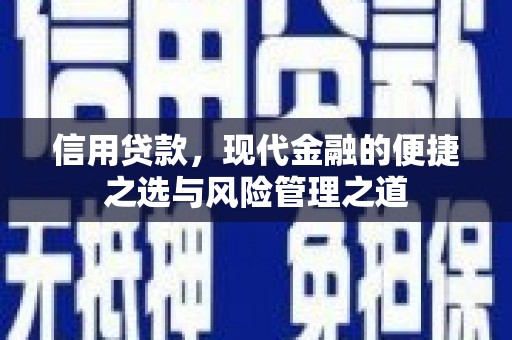 永新信用贷款，现代金融的便捷之选与风险管理之道