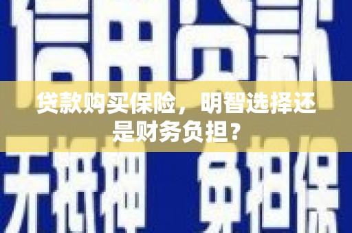 永新贷款购买保险，明智选择还是财务负担？