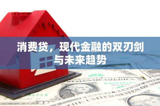 永新消费贷，现代金融的双刃剑与未来趋势