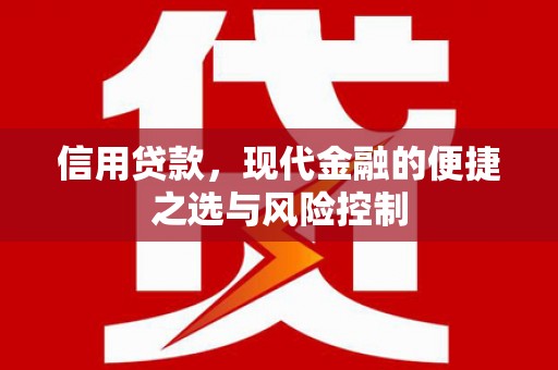 永新信用贷款，现代金融的便捷之选与风险控制