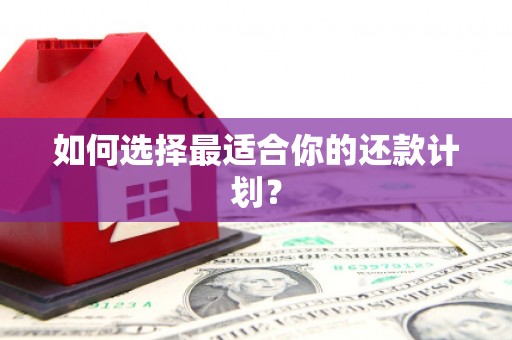 永新如何选择最适合你的还款计划？
