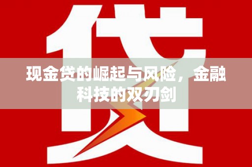永新现金贷的崛起与风险，金融科技的双刃剑