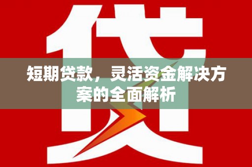 永新短期贷款，灵活资金解决方案的全面解析