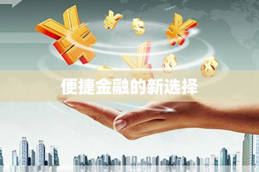 永新便捷金融的新选择