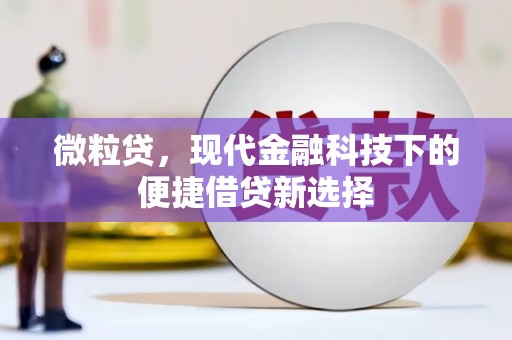 永新微粒贷，现代金融科技下的便捷借贷新选择