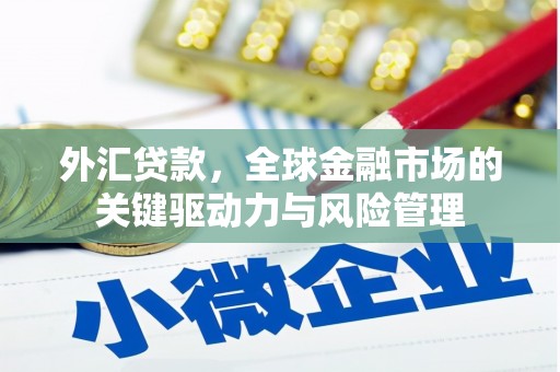 永新外汇贷款，全球金融市场的关键驱动力与风险管理