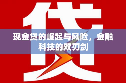 永新现金贷的崛起与风险，金融科技的双刃剑