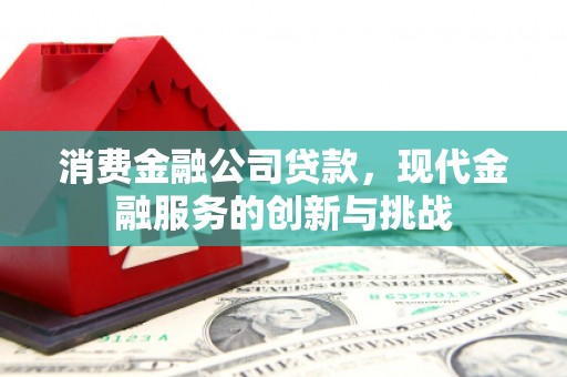 永新消费金融公司贷款，现代金融服务的创新与挑战