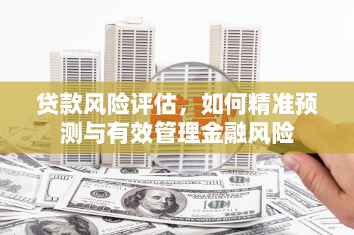永新贷款风险评估，如何精准预测与有效管理金融风险