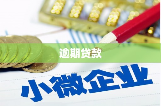 永新逾期贷款