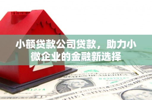 永新小额贷款公司贷款，助力小微企业的金融新选择