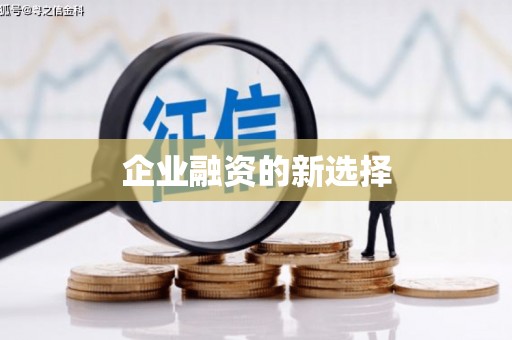 永新企业融资的新选择