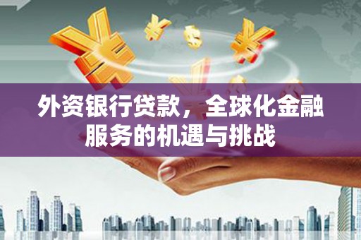 永新外资银行贷款，全球化金融服务的机遇与挑战