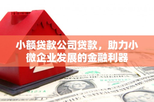 永新小额贷款公司贷款，助力小微企业发展的金融利器