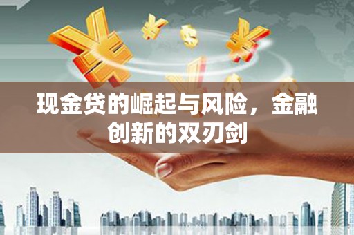 永新现金贷的崛起与风险，金融创新的双刃剑