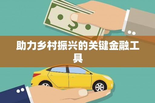 永新助力乡村振兴的关键金融工具