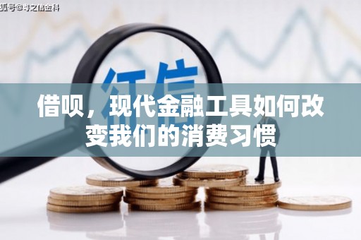 永新借呗，现代金融工具如何改变我们的消费习惯