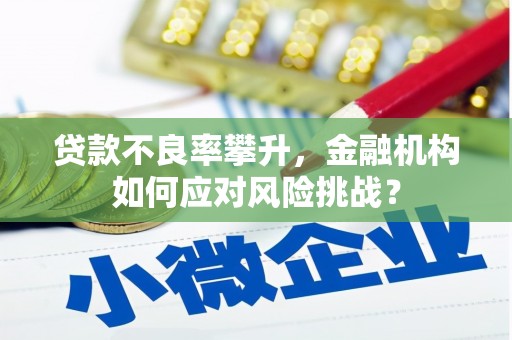永新贷款不良率攀升，金融机构如何应对风险挑战？