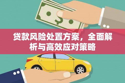 永新贷款风险处置方案，全面解析与高效应对策略