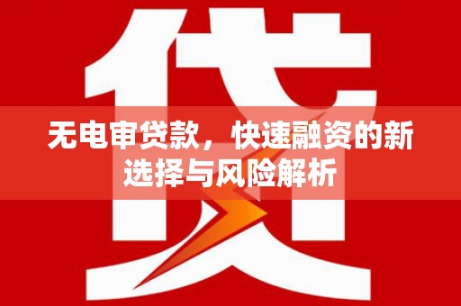 永新无电审贷款，快速融资的新选择与风险解析
