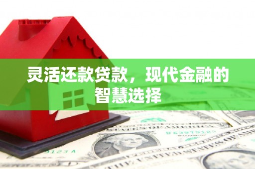 永新灵活还款贷款，现代金融的智慧选择