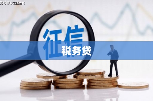 永新税务贷