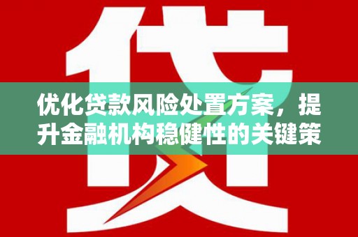 永新优化贷款风险处置方案，提升金融机构稳健性的关键策略