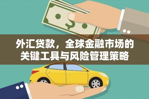 永新外汇贷款，全球金融市场的关键工具与风险管理策略