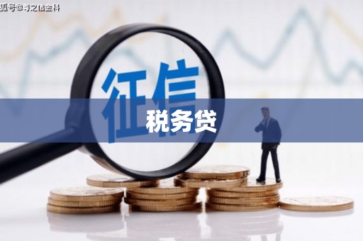 永新税务贷