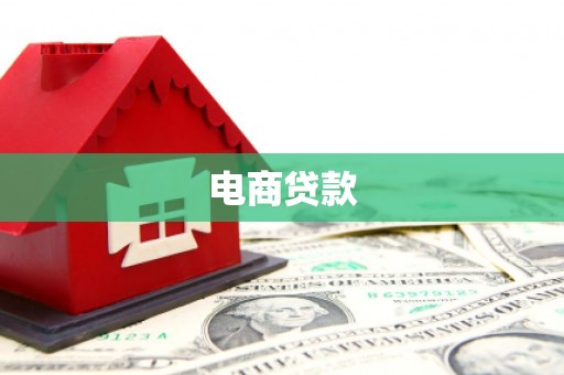 永新电商贷款
