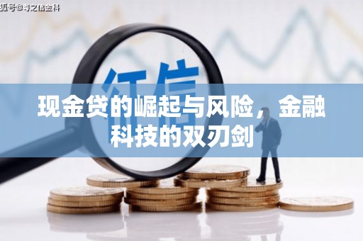 永新现金贷的崛起与风险，金融科技的双刃剑