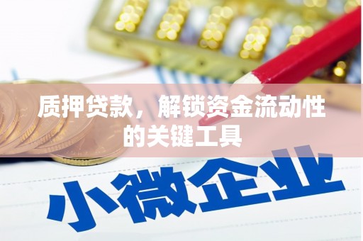 永新质押贷款，解锁资金流动性的关键工具