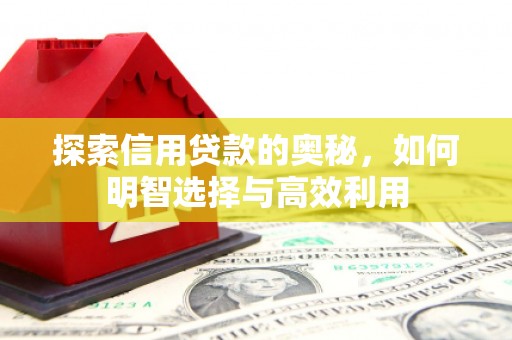 永新探索信用贷款的奥秘，如何明智选择与高效利用