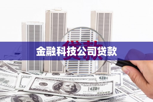 永新金融科技公司贷款
