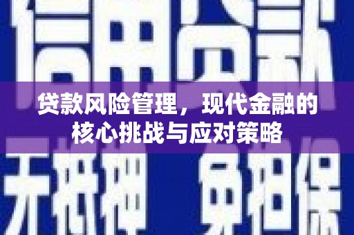 永新贷款风险管理，现代金融的核心挑战与应对策略