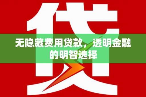 永新无隐藏费用贷款，透明金融的明智选择