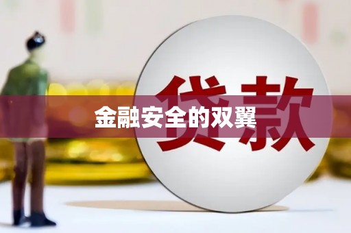 永新金融安全的双翼