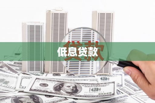 永新低息贷款