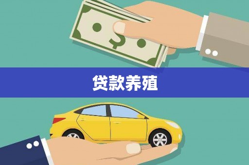 永新贷款养殖