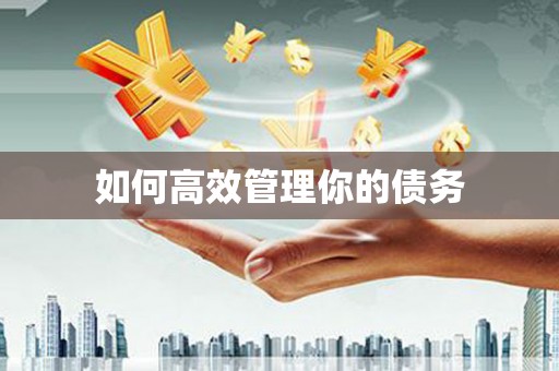 永新如何高效管理你的债务
