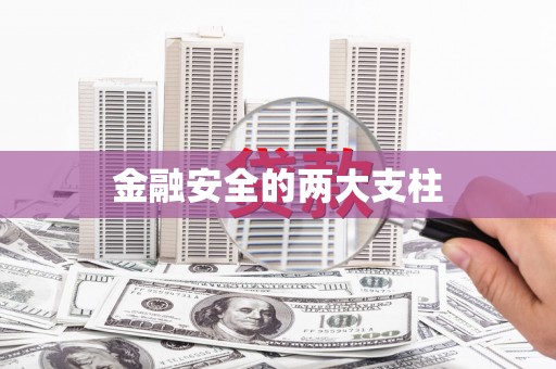 永新金融安全的两大支柱