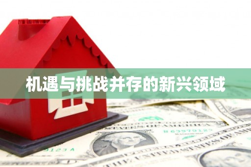 永新机遇与挑战并存的新兴领域