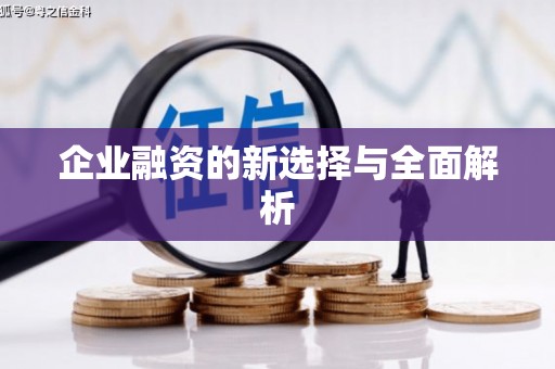 永新企业融资的新选择与全面解析
