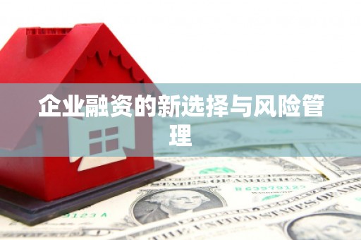 永新企业融资的新选择与风险管理