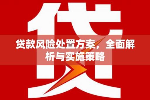 永新贷款风险处置方案，全面解析与实施策略