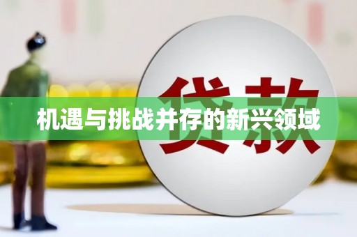 永新机遇与挑战并存的新兴领域