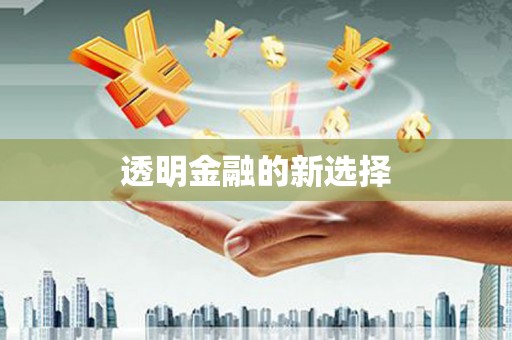 永新透明金融的新选择