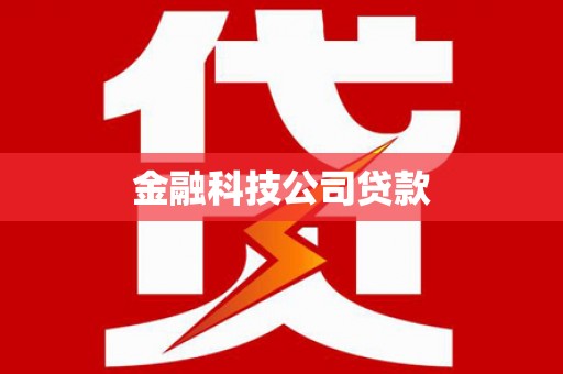 永新金融科技公司贷款