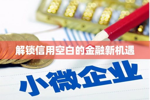 永新解锁信用空白的金融新机遇